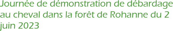 Journée de démonstration de débardage au cheval dans la forêt de Rohanne du 2 juin 2023